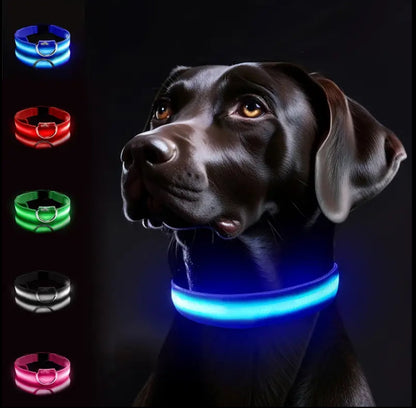 Bright Bark Collar