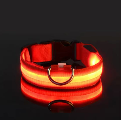 Bright Bark Collar