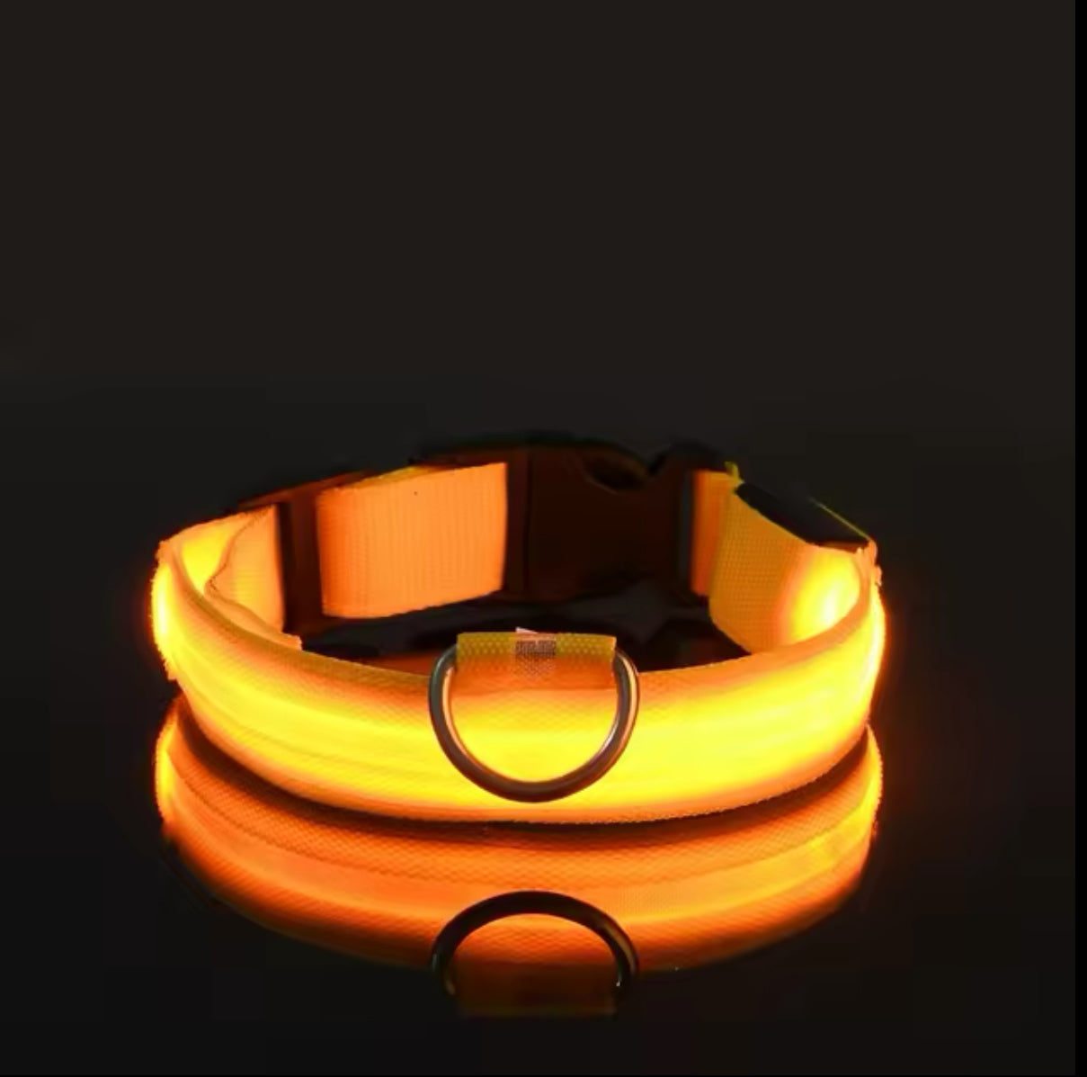 Bright Bark Collar