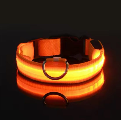 Bright Bark Collar