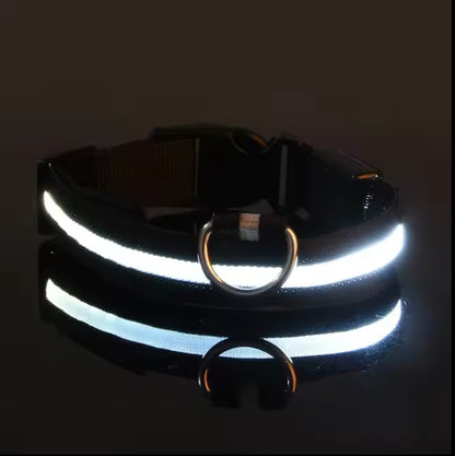 Bright Bark Collar